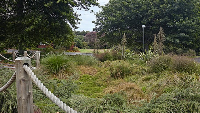 Auckland Botanic Gardens Raingarden