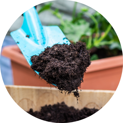 Organic Compost